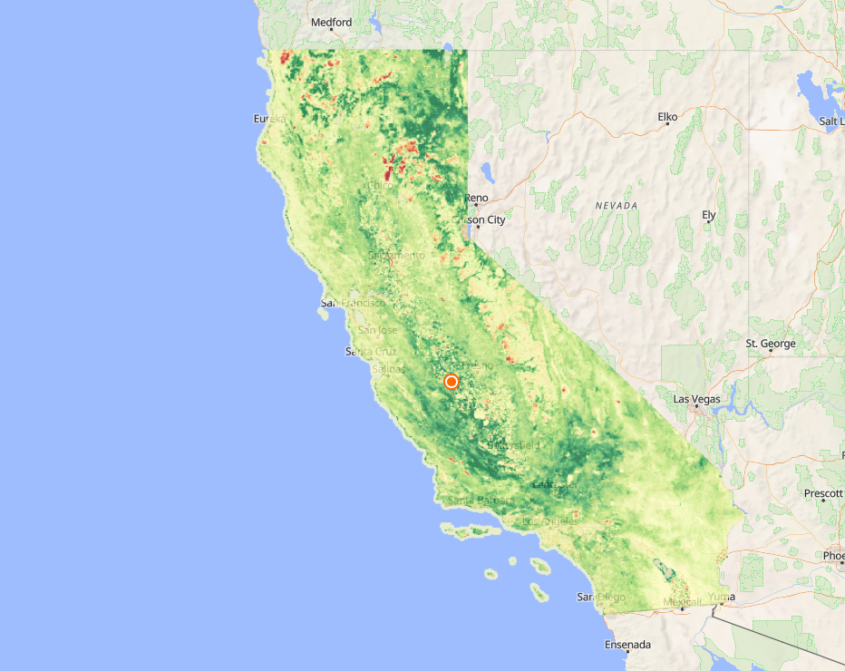 California NDVI Anomaly Viewer
